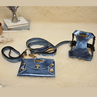 Set Pettorina e Guinzaglio in Pelle Cani | Dolce Zampa