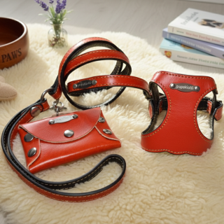 Set Pettorina e Guinzaglio in Pelle Cani | Dolce Zampa