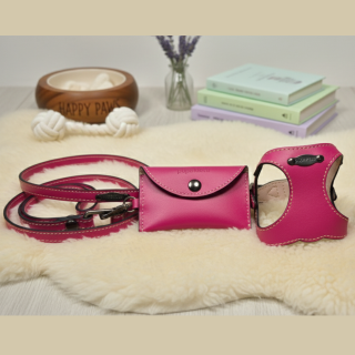 Set Pettorina e Guinzaglio in Pelle Cani | Dolce Zampa