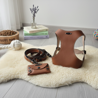 Set Pettorina e Guinzaglio in Pelle Cani | Dolce Zampa